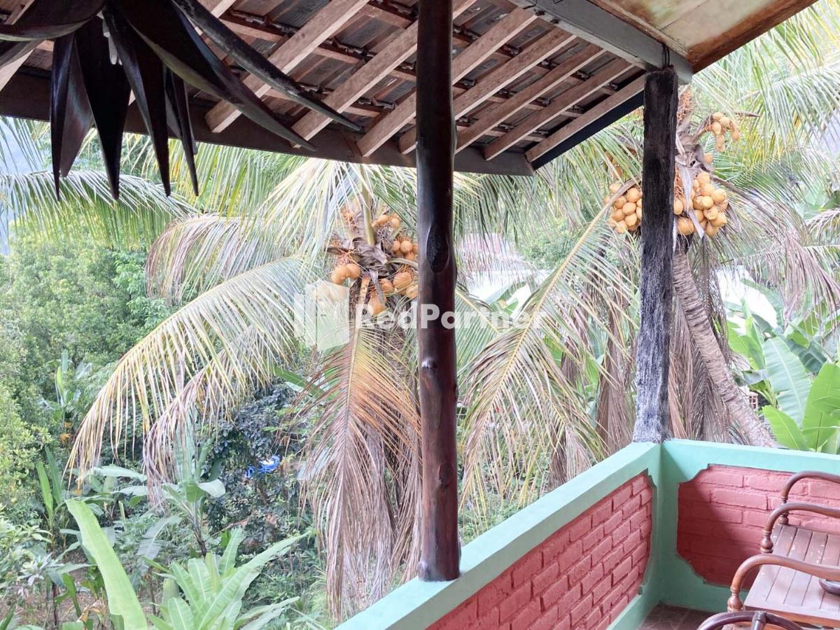 Taman Ayu Homestay Munduk Mitra Reddoorz Exterior foto