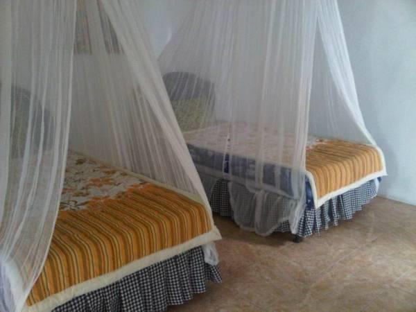 Taman Ayu Homestay Munduk Mitra Reddoorz Exterior foto
